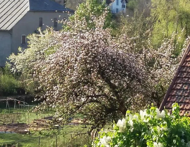 Bed & Breakfast Le Clos Marie Brenod